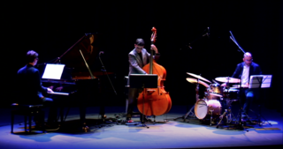 The Massimo Pinca Trio <em>Photo: Les Salons</em>